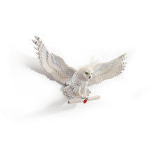 Load image into Gallery viewer, Harry Potter Hedwig Owl Post Wall Decor
